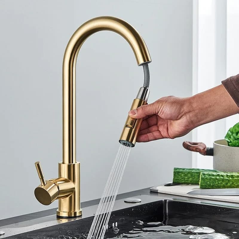 Kitchen Faucet with Pull-Out Sprayer
